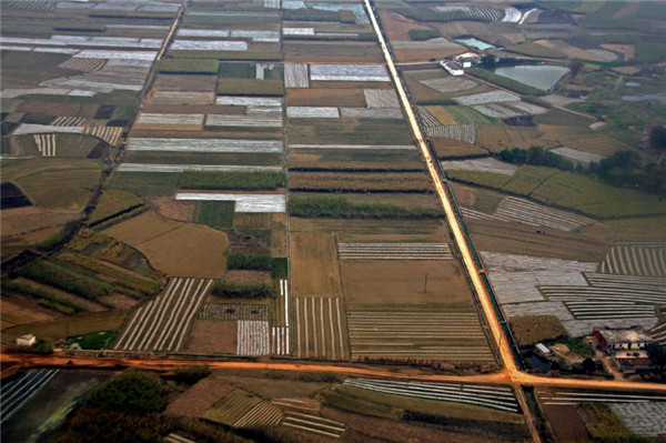 土壤水分速測(cè)儀在西瓜種植上的應(yīng)用 土壤水分速測(cè)儀在西瓜種植上的應(yīng)用