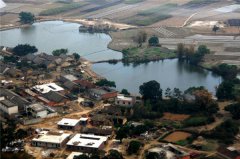 土壤水分對葉片特性有什么影響？