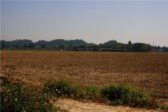 土壤水含量的變化對植物有哪些影響？