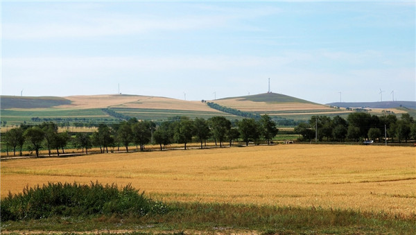 土壤墑情監(jiān)測(cè)站的分類(lèi)和特點(diǎn)分析 土壤墑情監(jiān)測(cè)站的分類(lèi)和特點(diǎn)分析