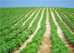 土壤墑情監(jiān)測(cè)站有哪些價(jià)值體現(xiàn)？