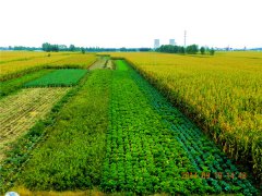 使用土壤墑情速測(cè)儀有哪些好處?