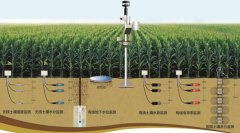 土壤墑情怎么讀，在實際農(nóng)業(yè)中應用怎樣？