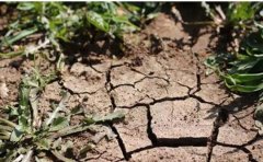 土壤墑情監(jiān)測系統(tǒng)可以提供哪些數(shù)據(jù)