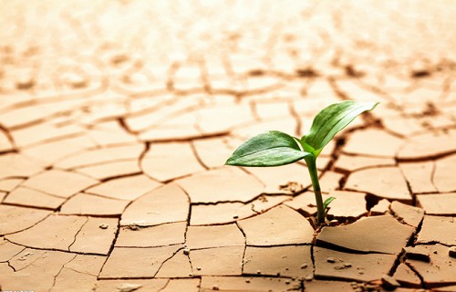 土壤干旱 土壤干旱