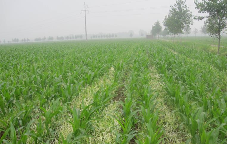 基于物聯(lián)網(wǎng)的農(nóng)業(yè)墑情監(jiān)測(cè)系統(tǒng)