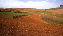 取樣方式不同對土壤墑情監(jiān)測精度有影響嗎？