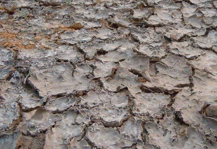 土壤墑情監(jiān)測系統(tǒng)在物聯(lián)網(wǎng)浪潮下的升級(jí)換代 土壤墑情監(jiān)測系統(tǒng)在物聯(lián)網(wǎng)浪潮下的升級(jí)換代