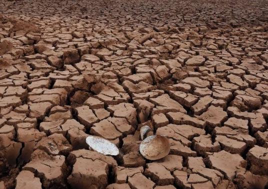 遠(yuǎn)程墑情自動(dòng)監(jiān)測系統(tǒng)設(shè)計(jì)思路 遠(yuǎn)程墑情自動(dòng)監(jiān)測系統(tǒng)設(shè)計(jì)思路